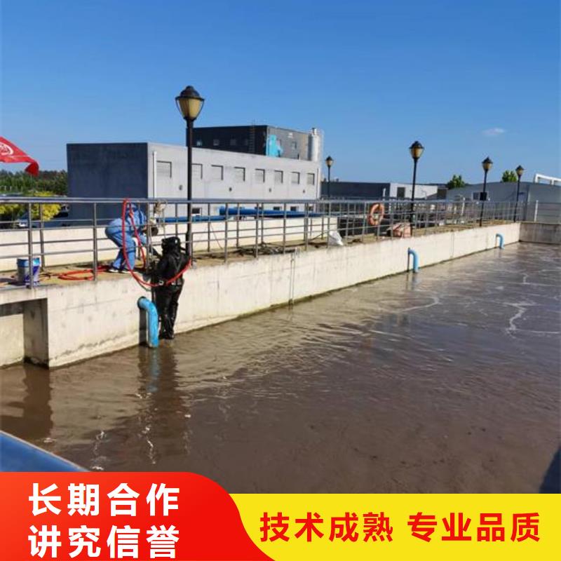 重庆同城市水下探测录像施工-水下施工单位