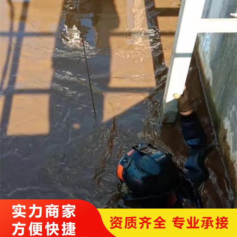 定安县潜水员作业公司-水下检修探摸