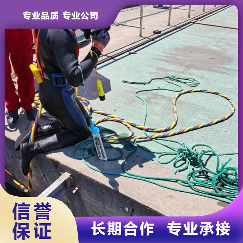 台湾订购省曝气管水下维修本地蛙人潜水队伍