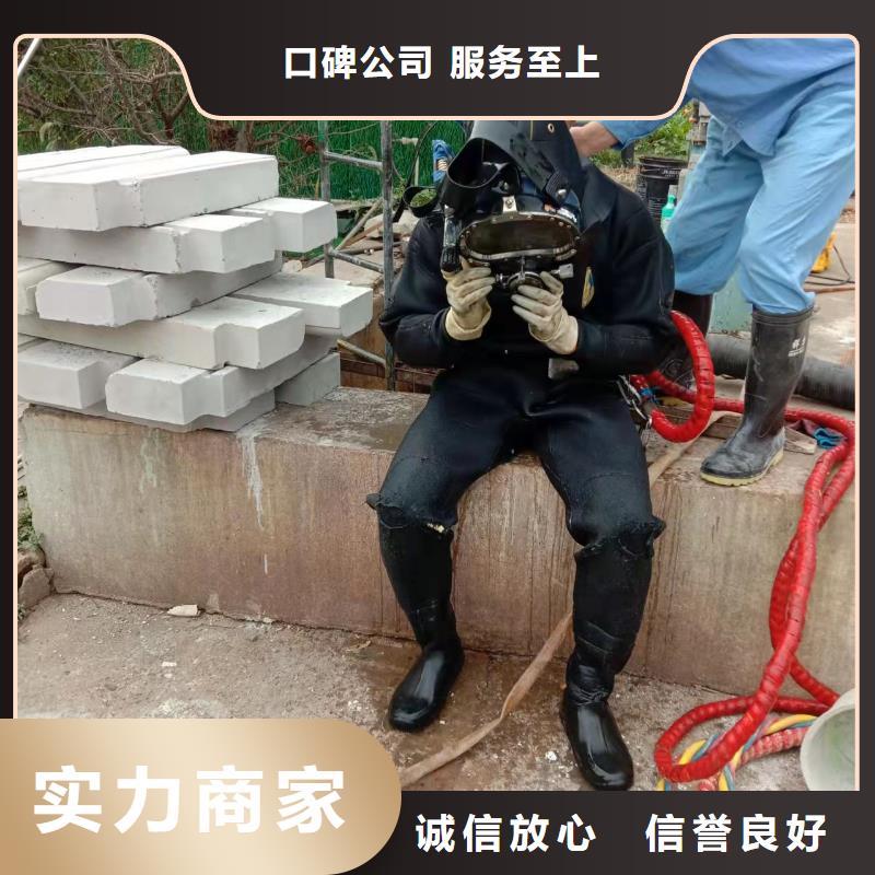 广州咨询市水下安装维修施工-水下录像拍照