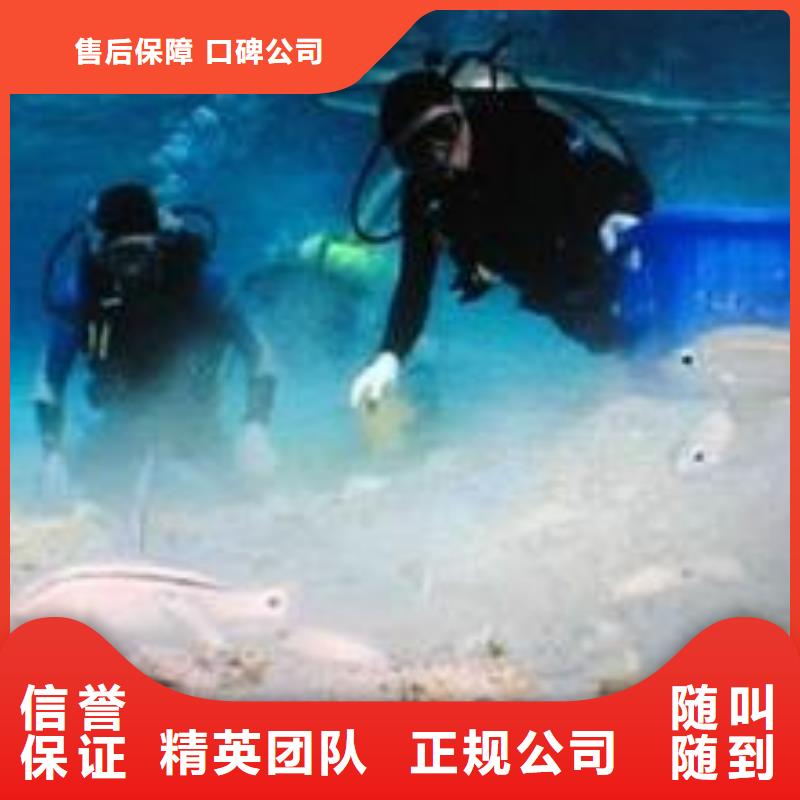 连云港生产市污水管道封堵公司-本市蛙人潜水队