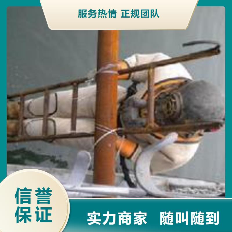【辽阳】直供市水下堵漏单位-本地潜水员服务
