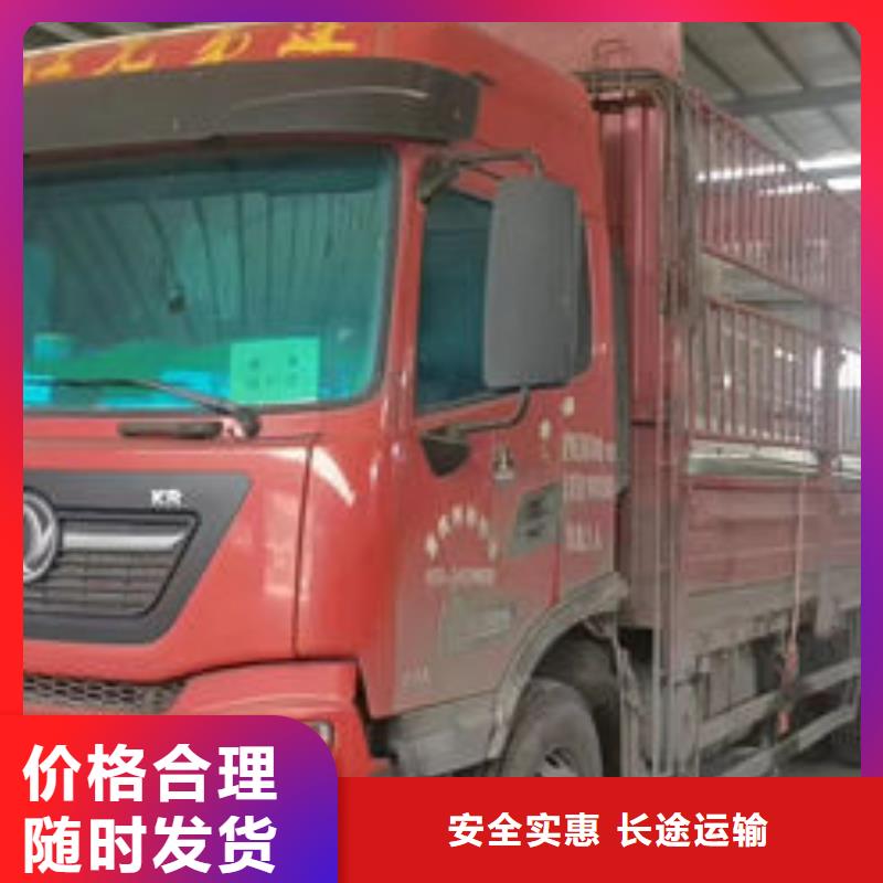 六盘水采购到重庆返空车整车货运公司（辐射-全境)
