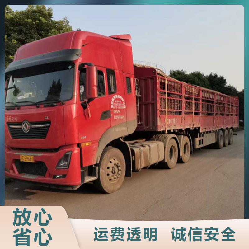 温州现货到重庆回程车整车物流公司（直达/全境）