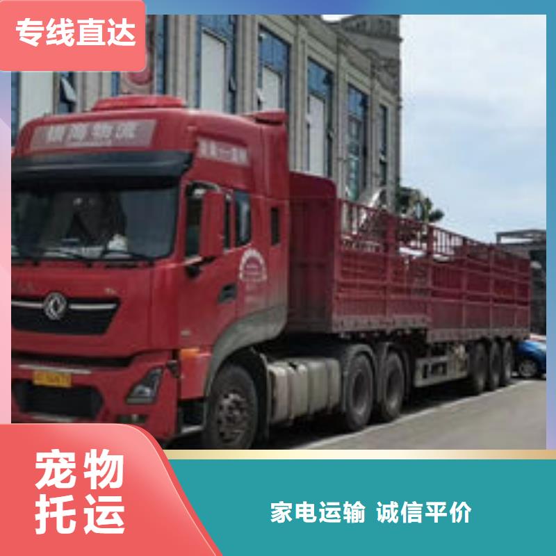 修文到重庆返程货车整车运输 (2024直达+全境)