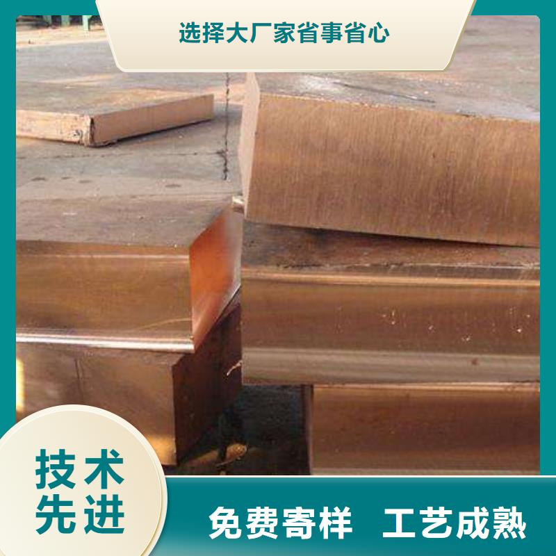 T2接地紫銅排可訂貨