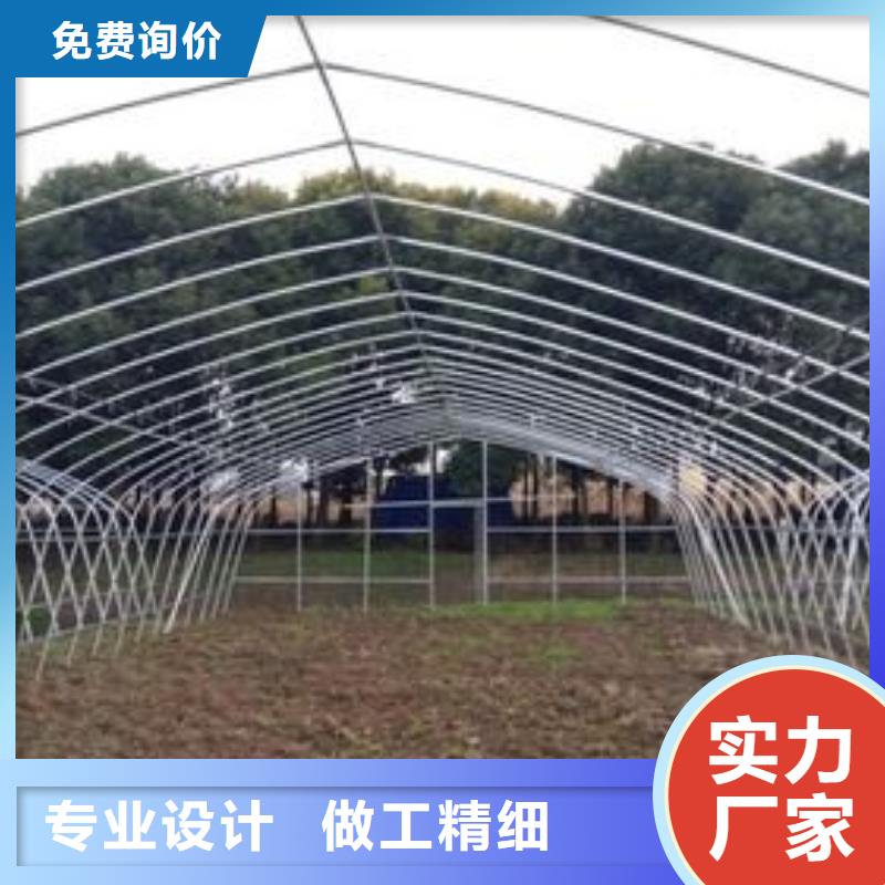 蔬菜大棚-連棟大棚-大棚配件發貨快一名鋼鐵