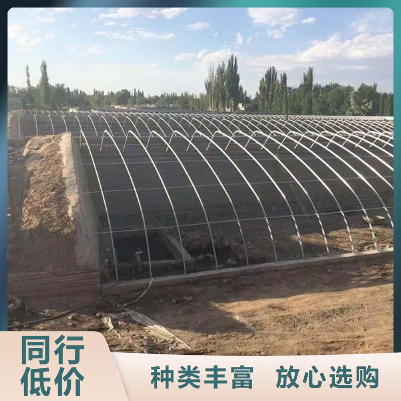 連棟大棚管加工可發貨
