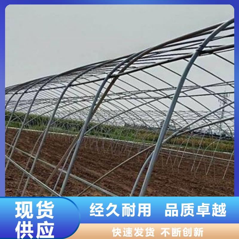 焊接大棚管_养殖大棚管交货快