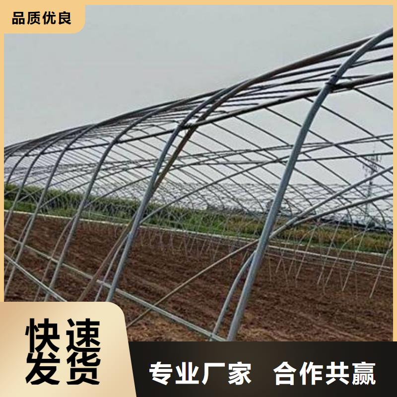 熱鍍鋅大棚管_大棚配件廠家廠家快捷物流