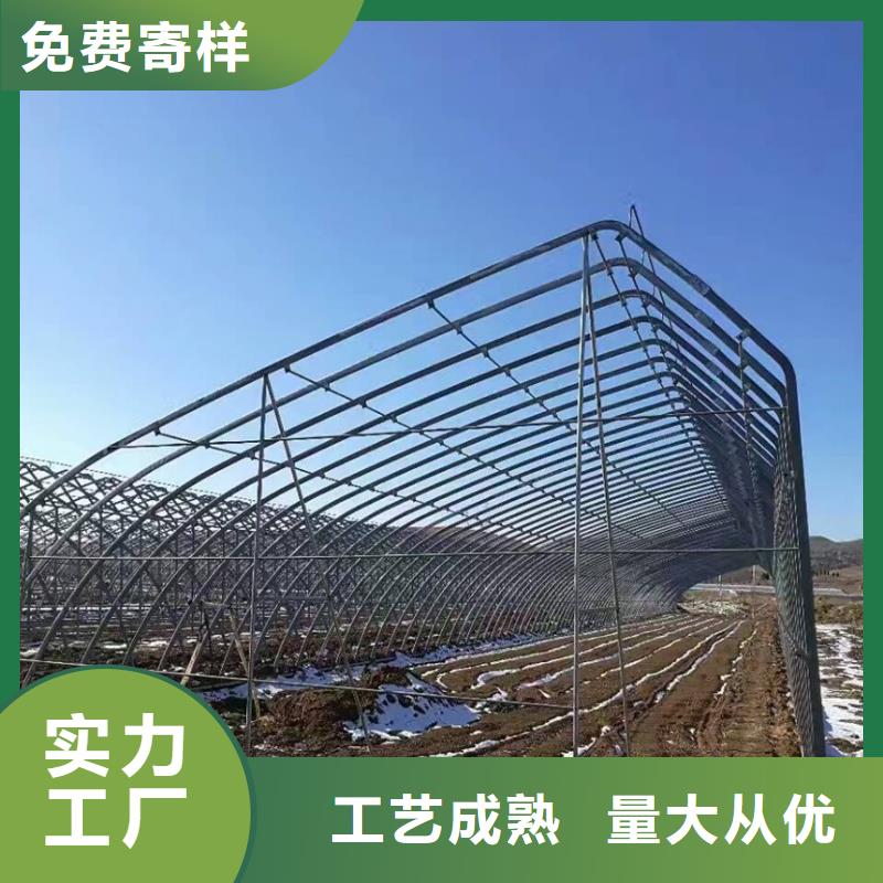 鍍鋅帶鍍鋅鋼管-大棚骨架廠家