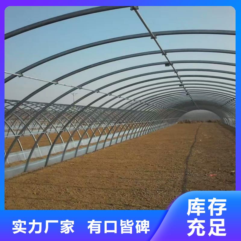 25*50蔬菜大棚骨架可配送
