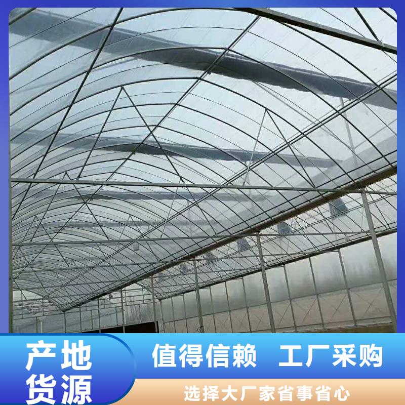溫室大棚管-新型大棚橢圓管廠家