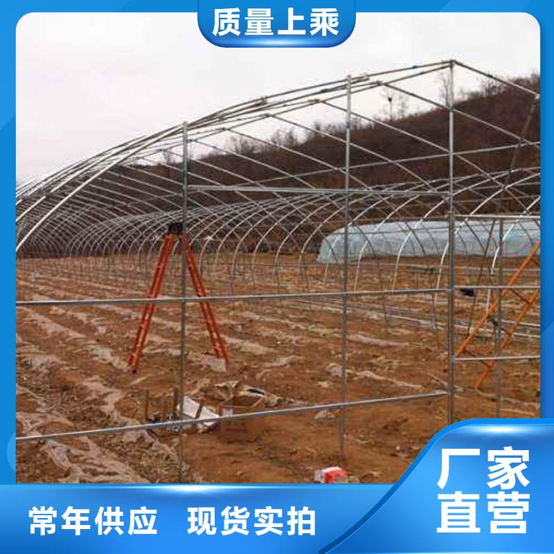 鍍鋅大棚管價格公道