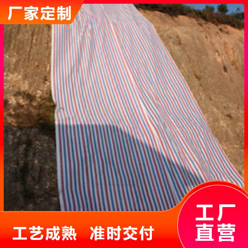 哪里有賣彩條布-接受定制