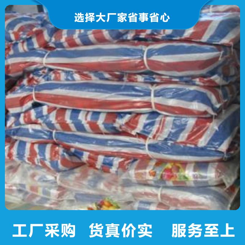 桂林选购五色双覆膜彩条布质量上乘厂家