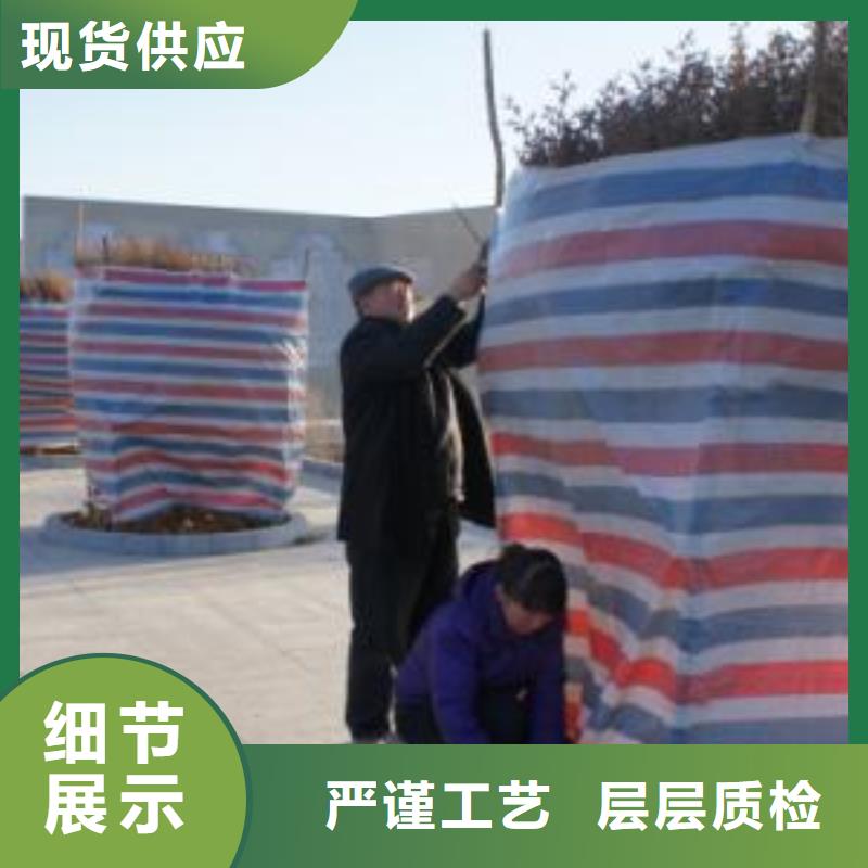 优质的牡丹江本土利华防雨防汛专用彩条布厂家