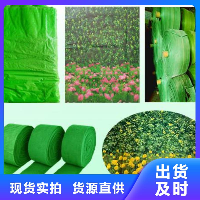 纏樹帶廠家