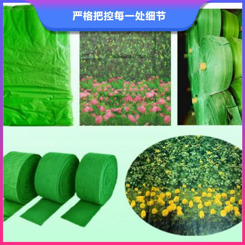 商洛订购绿化防寒布绿化防寒布-利华塑料包装材料有限公司