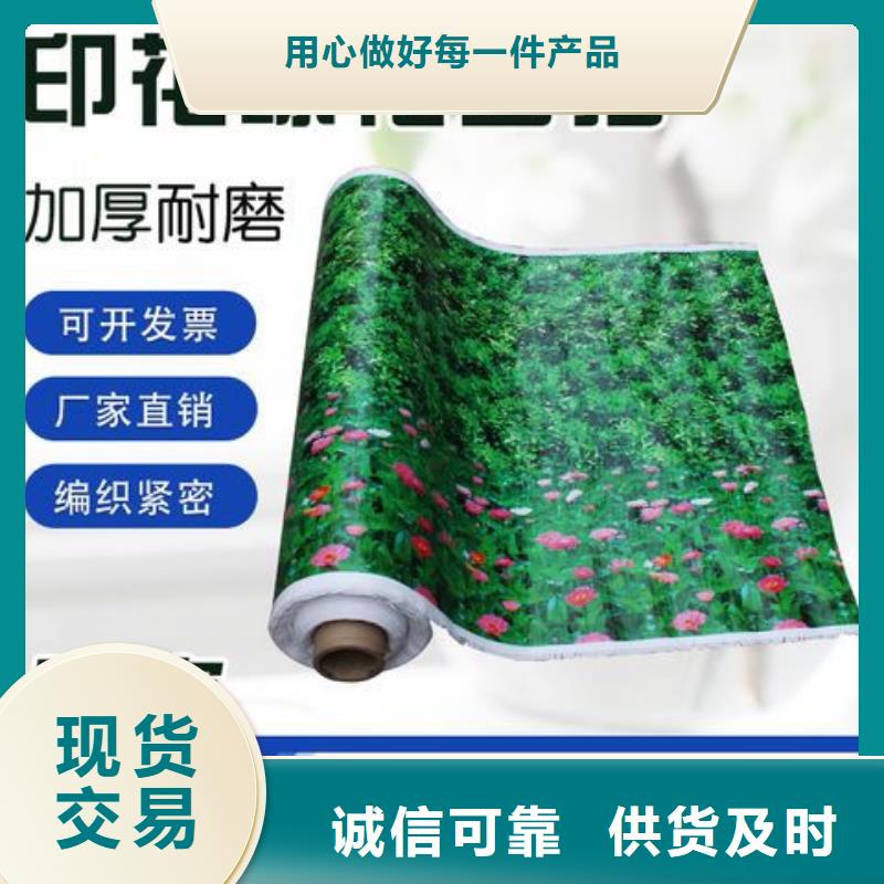 纏樹帶圖片