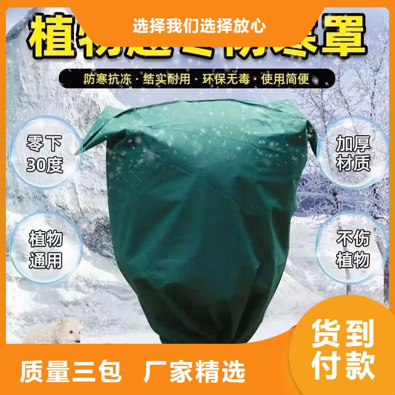 广安本地树木防寒裹树布质量可靠的厂家