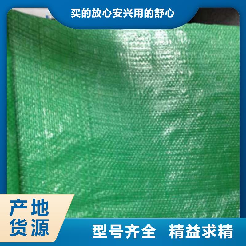 纏樹帶圖片