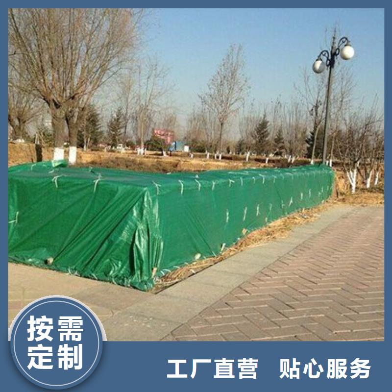 包樹(shù)布生產(chǎn)廠家