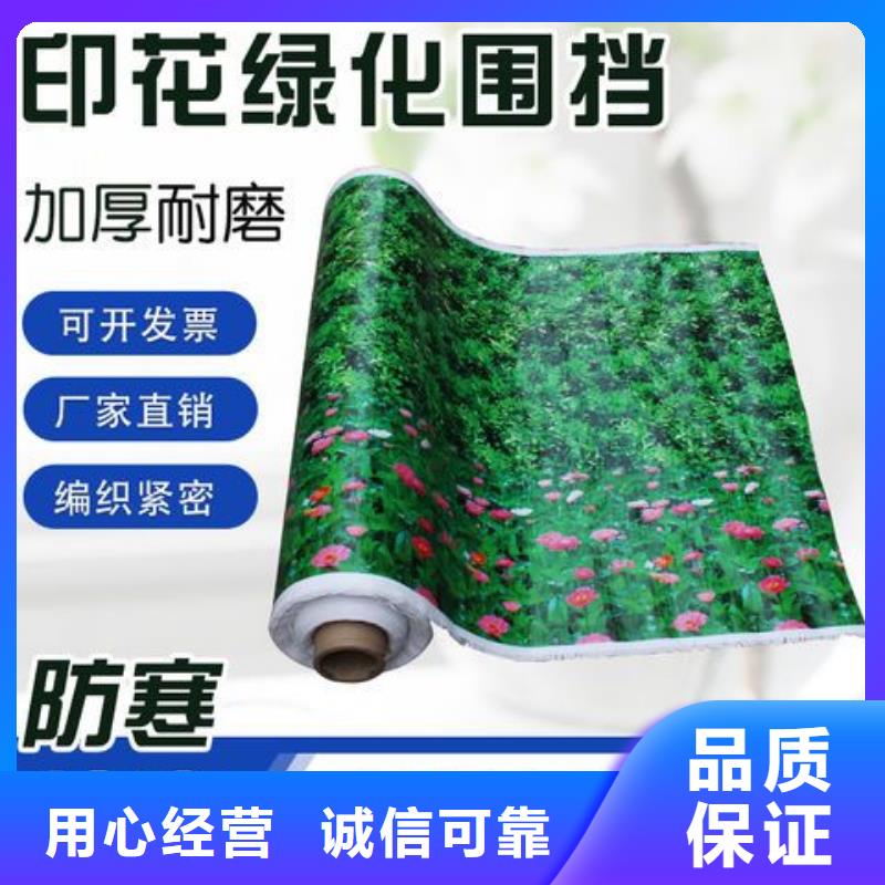 單膜纏樹帶