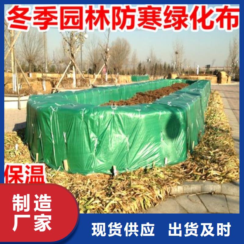 發(fā)貨及時(shí)的纏樹帶供貨商