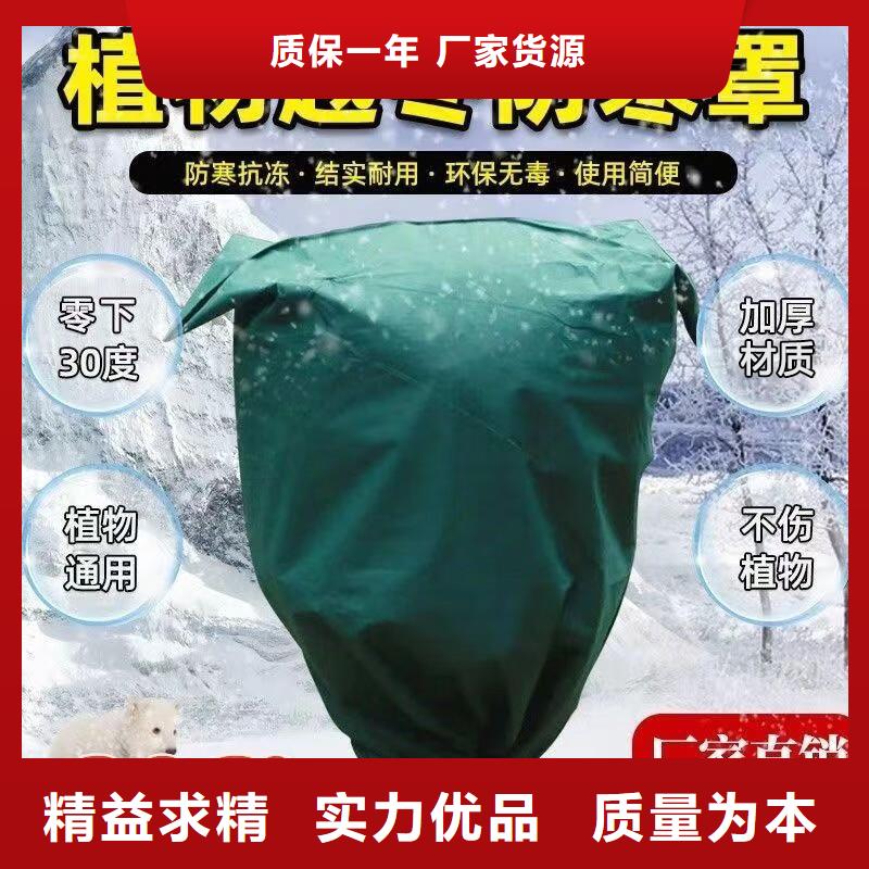 哪里有賣纏樹帶