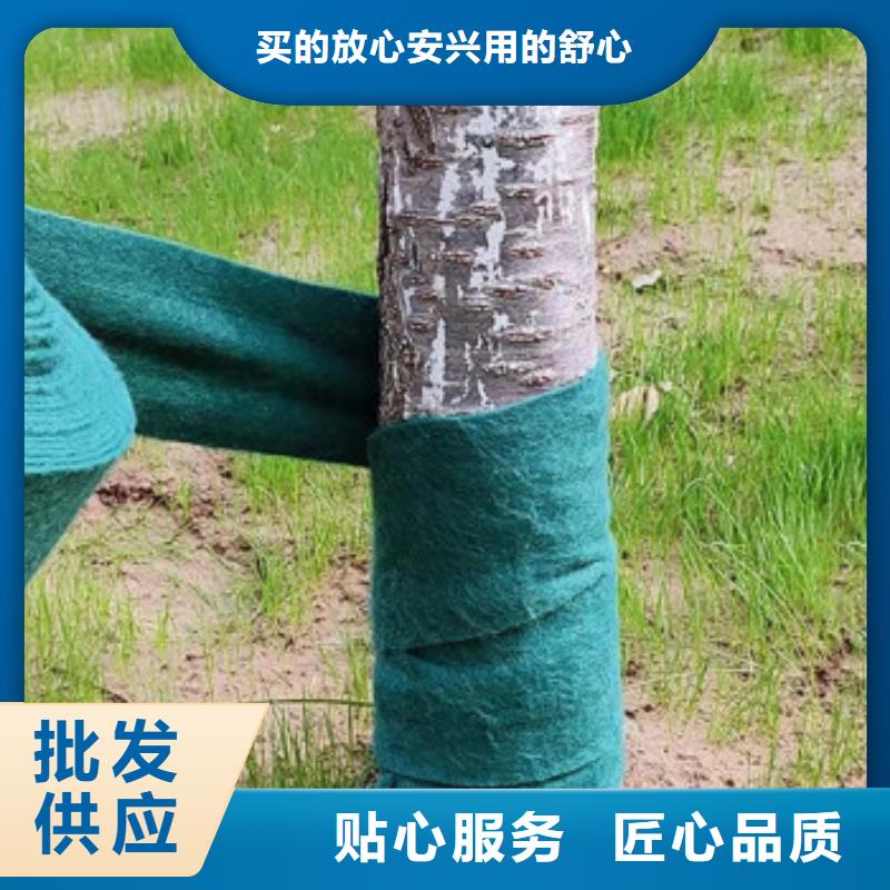 了綠色無(wú)紡布企業(yè)-大廠直銷(xiāo)