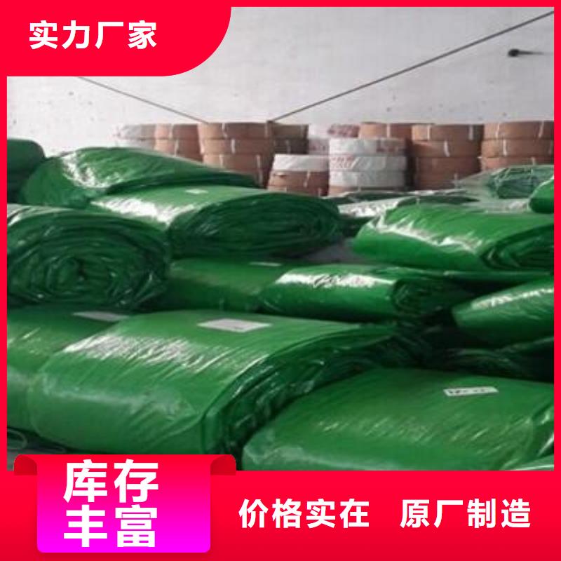 纏樹帶多少錢