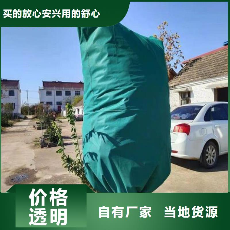台州定制冬季绿化保温防寒布正规厂家生产