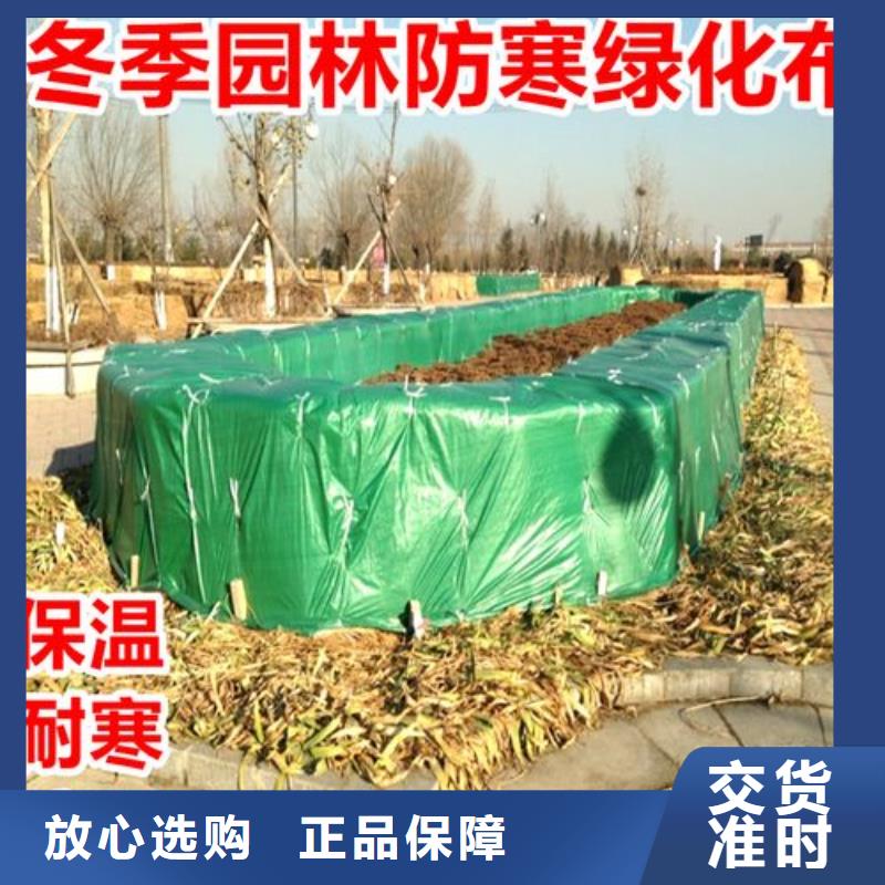 芜湖采购城市绿化防寒布质量可靠