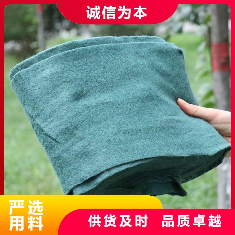 纏樹帶規格