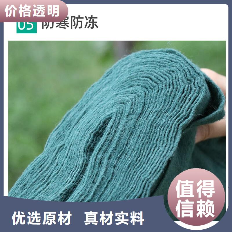 裹樹布批發