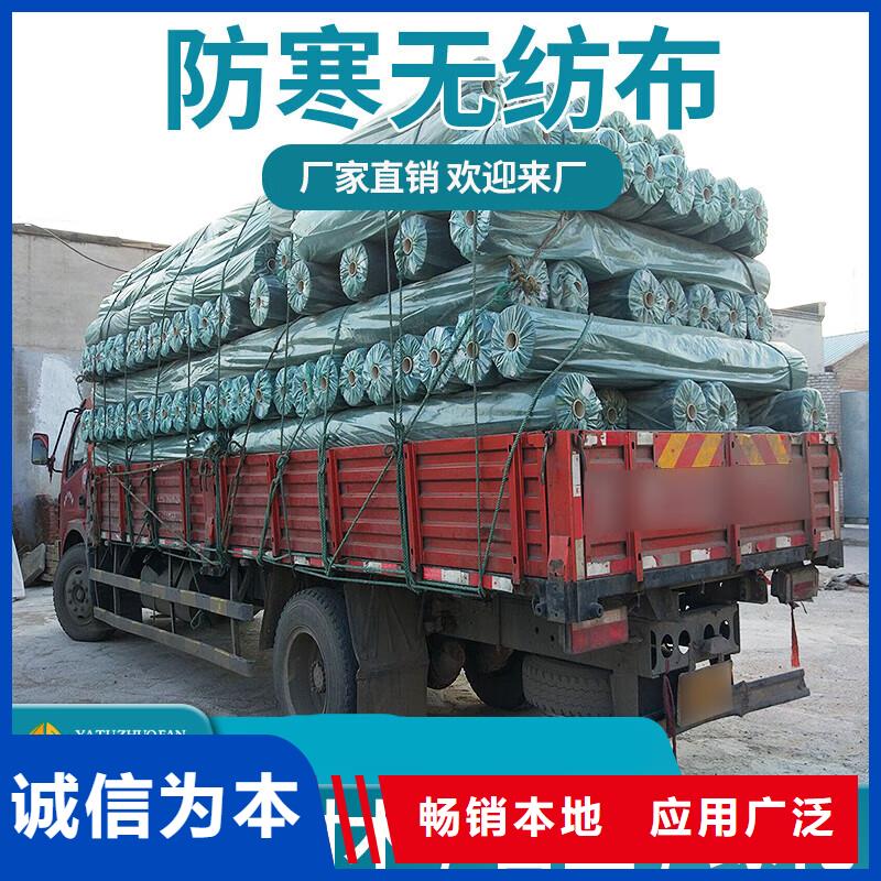 快速高效:《忻州》该地保温防寒裹树布厂家