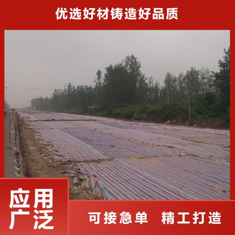 新料彩條布現貨采購
