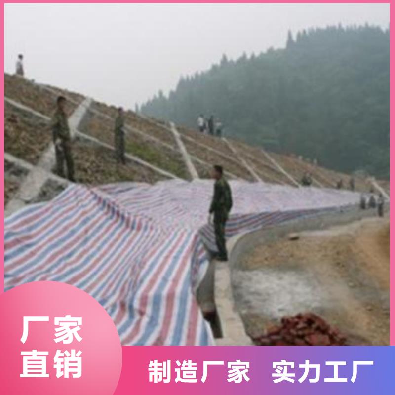 品牌的聚乙烯彩條布生產(chǎn)廠家