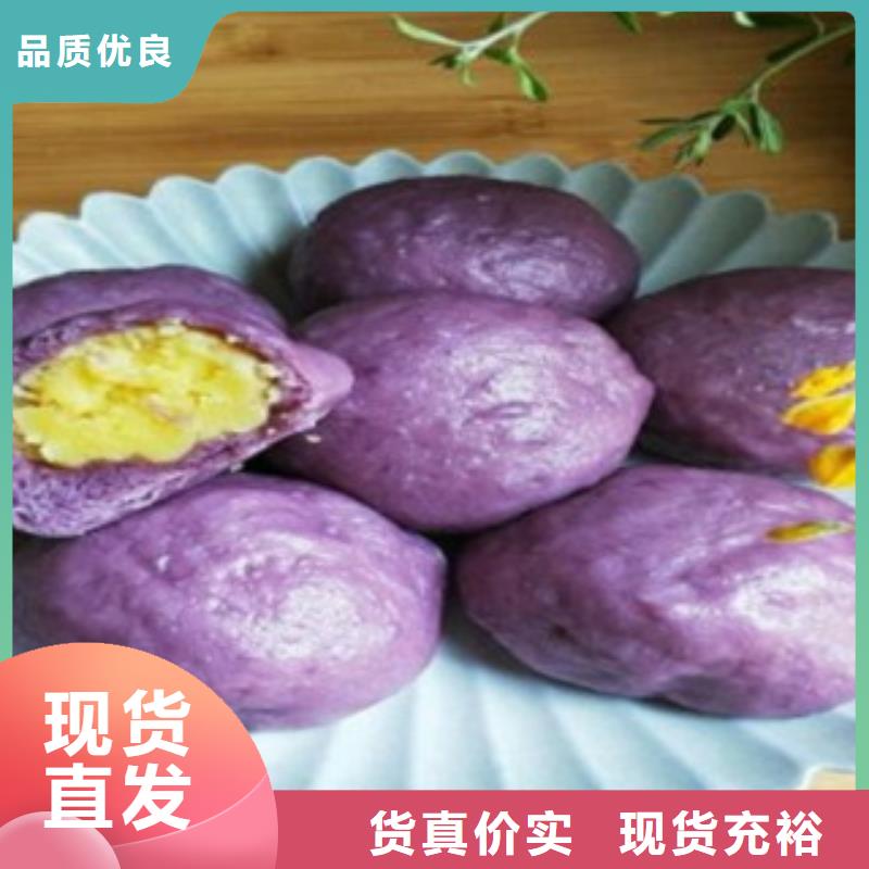 质量好的紫薯粉厂家