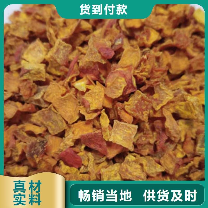 南瓜丁真正的厂家货源