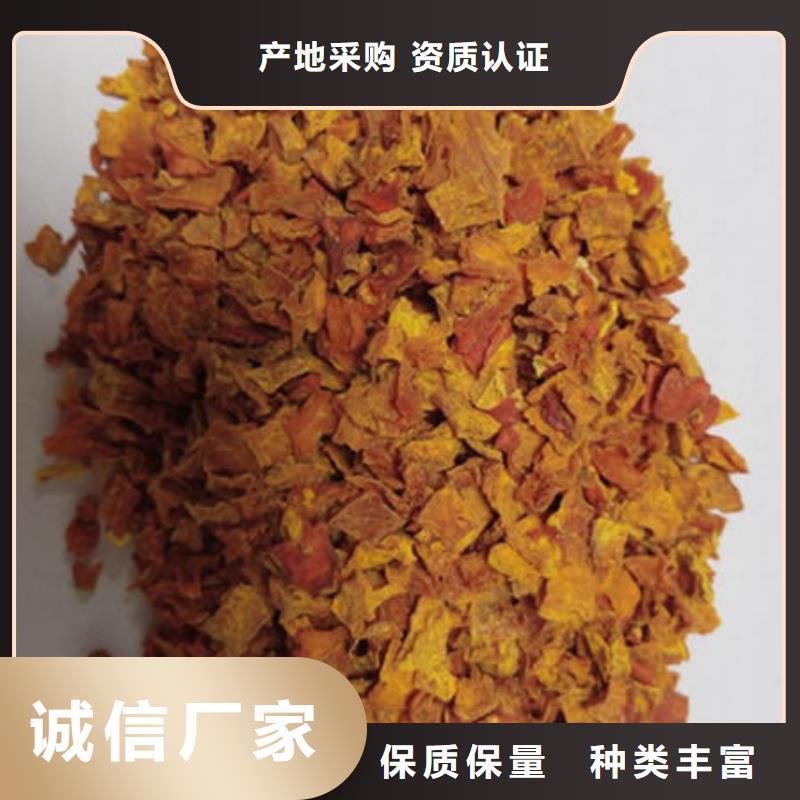 南瓜丁-南瓜丁欢迎您