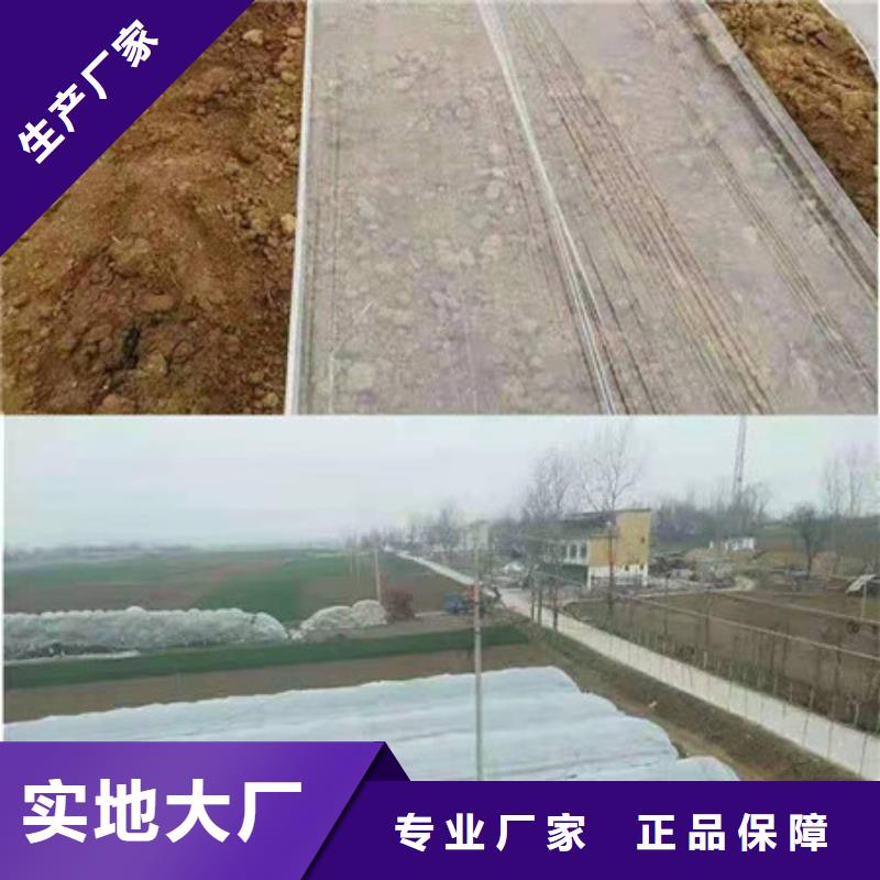 紫薯苗厂家加工