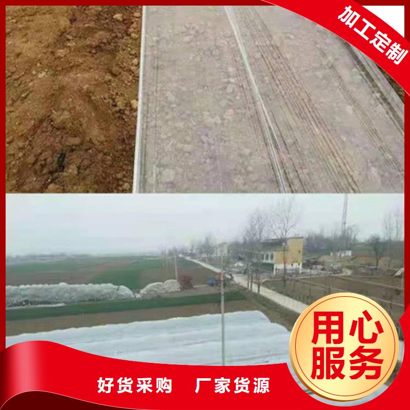 紫薯苗企业-信誉保障