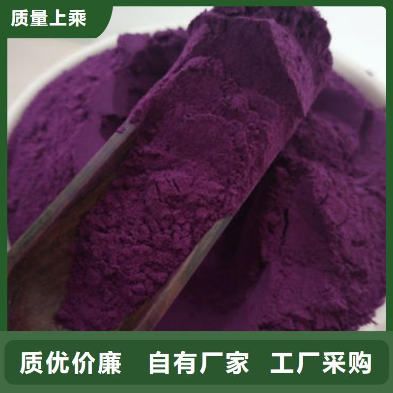 紫薯粉-紫薯粉厂家