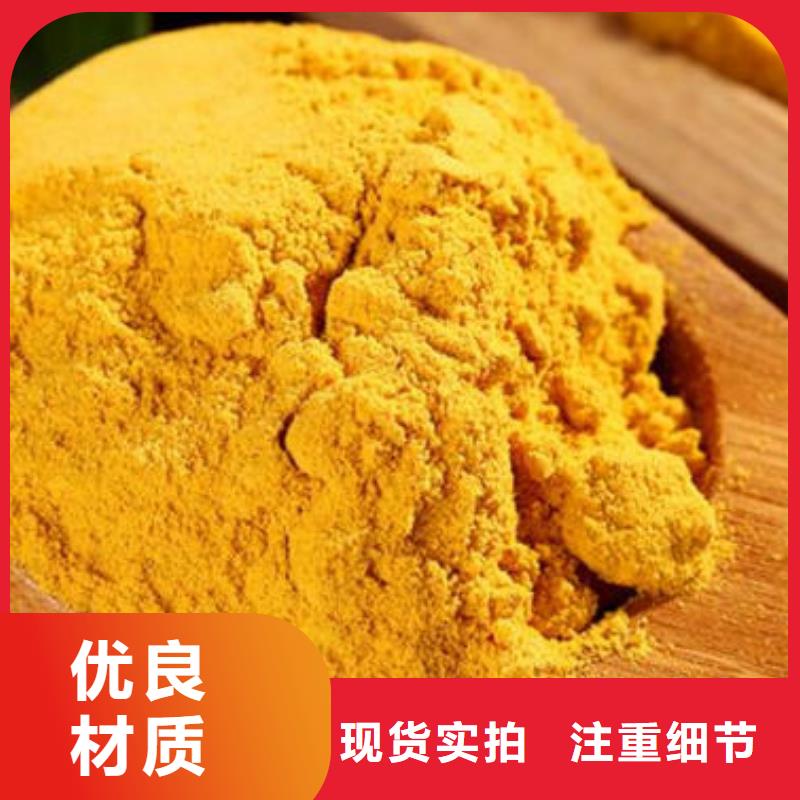 快速:南瓜粉厂家