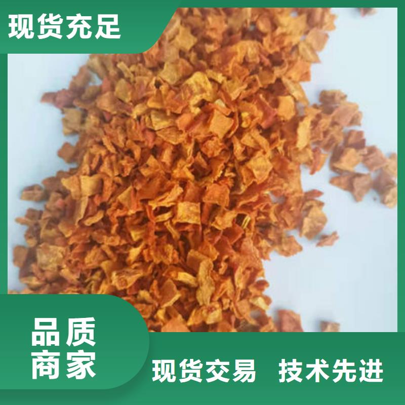 支持定制的南瓜丁生产厂家