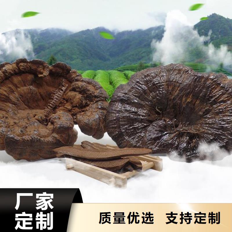灵芝孢子粉现货全国配送