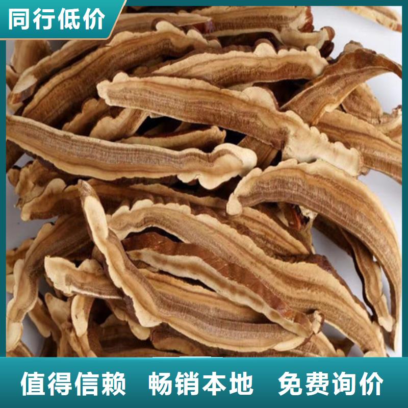 灵芝孢子粉成功案例