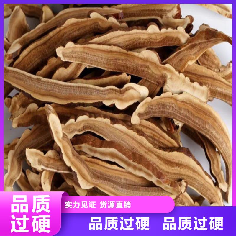 灵芝孢子粉-灵芝孢子粉热销